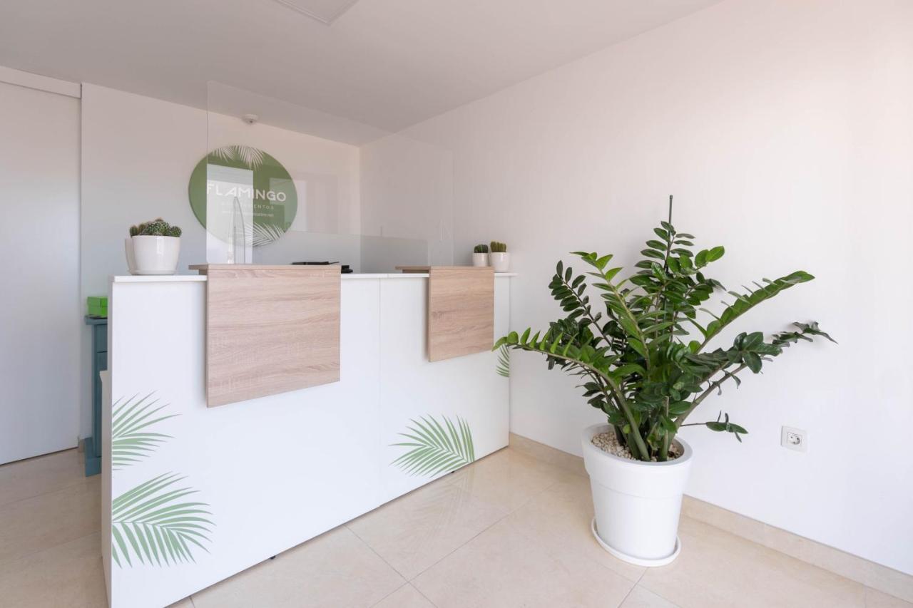 Apartamentos Flamingo بويرتو ذيل كارمين المظهر الخارجي الصورة
